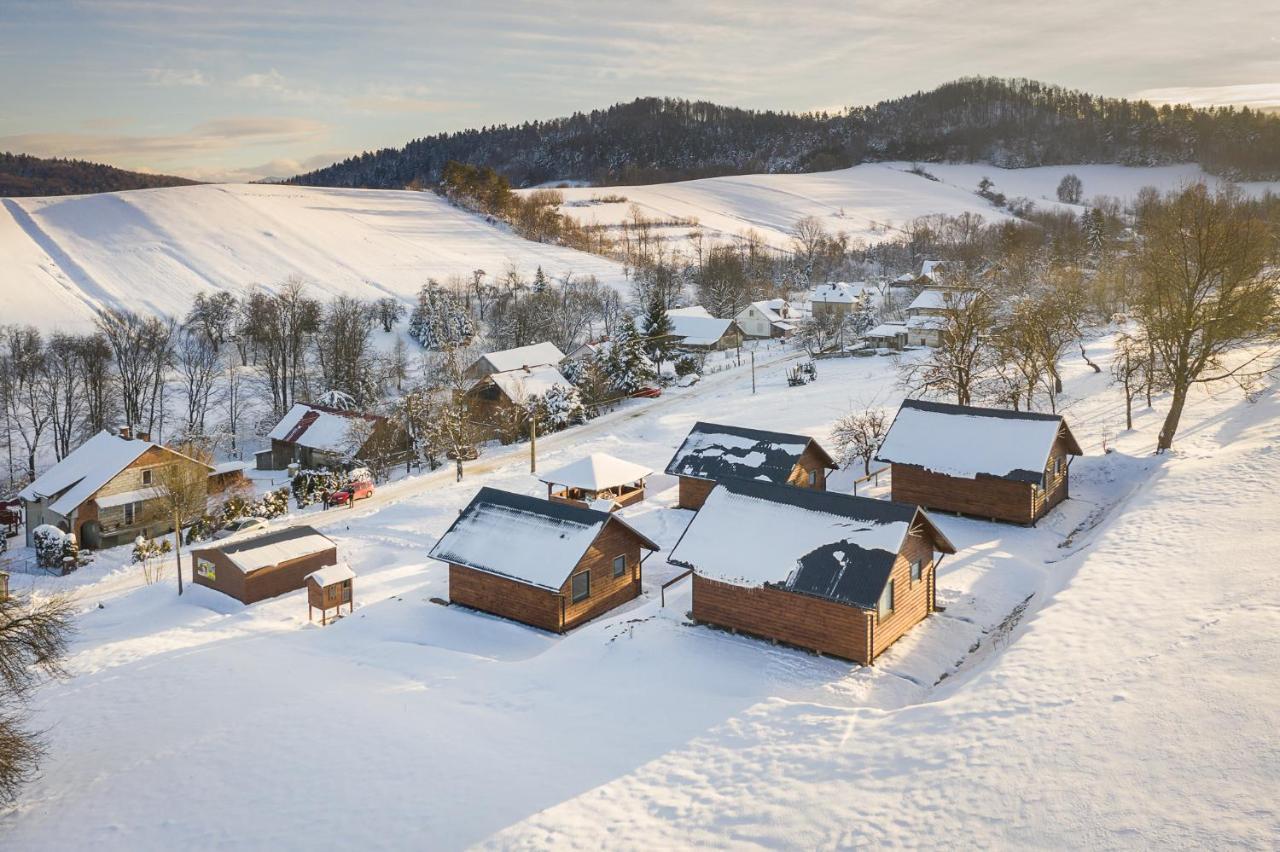 Domki Pod Roztoczka Villa Hoczew Exterior photo